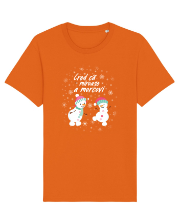 Cred ca miroase a morcovi Bright Orange