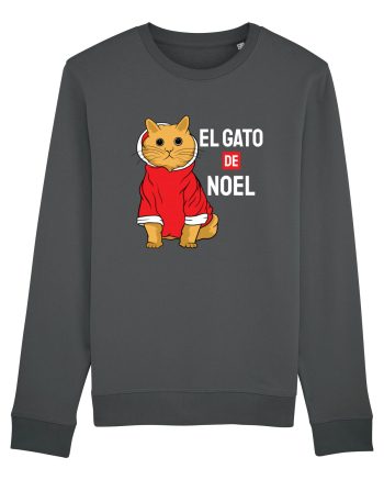 El gato de Noel Anthracite