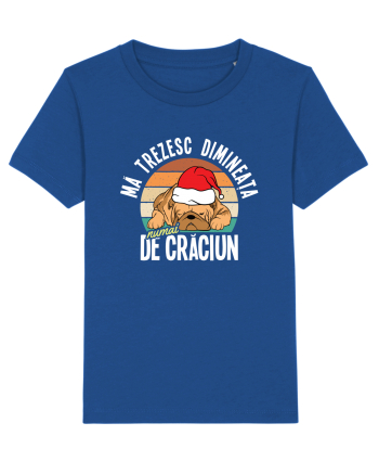 Ma trezesc dimineata numai de Craciun Majorelle Blue