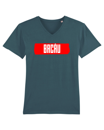 Bacau Stargazer