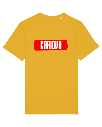 Craiova Spectra Yellow