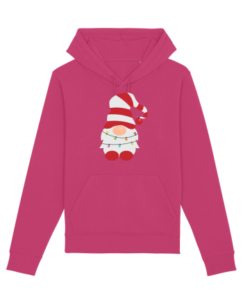 Christmas gnome Raspberry