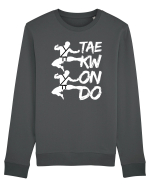 Taekwondo Bluză mânecă lungă Unisex Rise