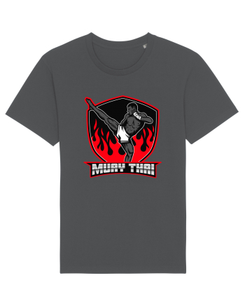 Box Tailandez. Muay Thai Anthracite