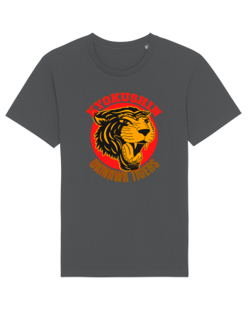 Kyokushin Karate  Anthracite