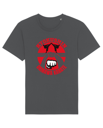 Kyokushin Karate  Anthracite