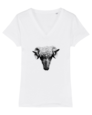 The Sheep White