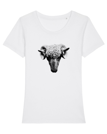 The Sheep White