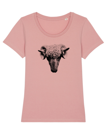 The Sheep Canyon Pink