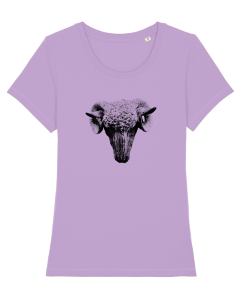 The Sheep Lavender Dawn