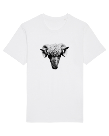 The Sheep White
