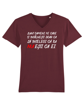Sunt oameni... Burgundy