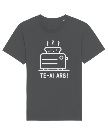 TE-AI ARS ! Anthracite