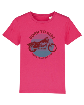 Pentru Motociclisti Raspberry