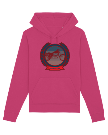 Pentru Motociclisti Raspberry