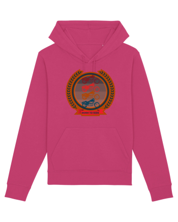 Pentru Motociclisti Raspberry