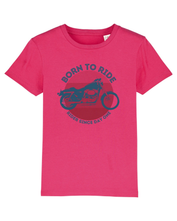Pentru Motociclisti Raspberry