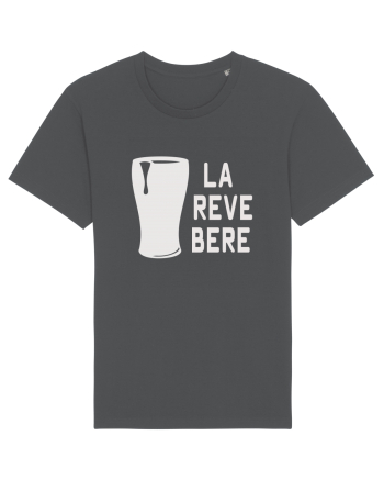 LA REVEBERE ! Anthracite