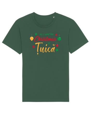 All I want for Christmas is țuică Bottle Green
