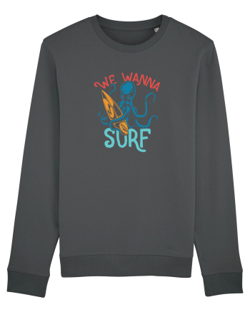 We wanna surf Anthracite