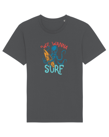 We wanna surf Anthracite