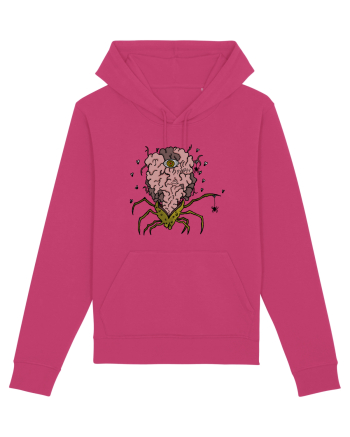 SPIDER BRAIN  Raspberry