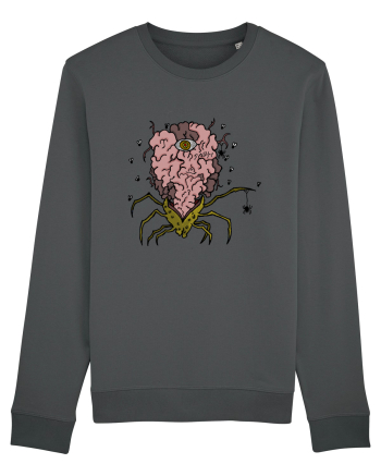 SPIDER BRAIN  Anthracite