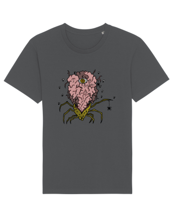 SPIDER BRAIN  Anthracite