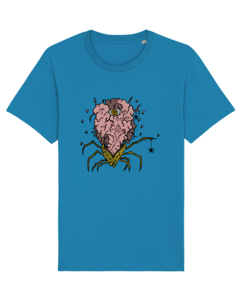 SPIDER BRAIN  Azur