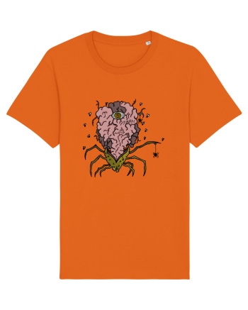 SPIDER BRAIN  Bright Orange