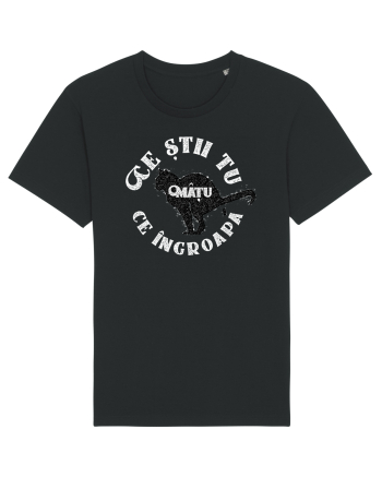 Ce știi tu ce îngroapă mâțu... Black
