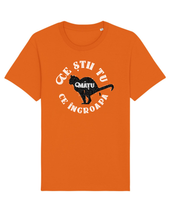 Ce știi tu ce îngroapă mâțu... Bright Orange