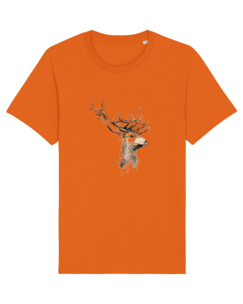 Cerb desen Bright Orange