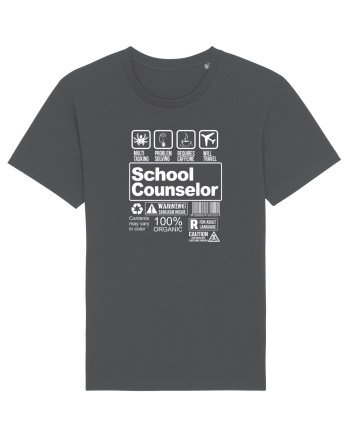 SCHOOL COUNSELOR Anthracite