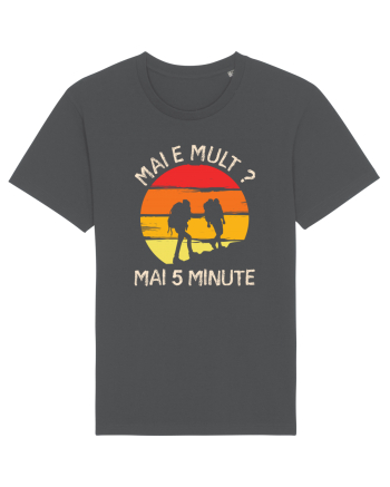 Mai e mult, mai 5 minute - retro sunset Anthracite