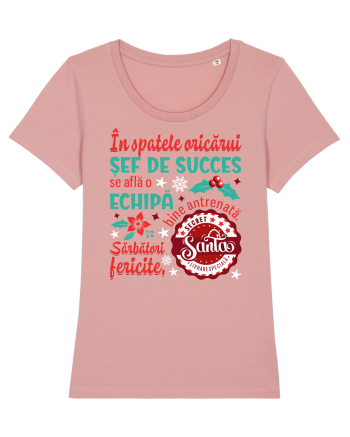 Secret Santa - sef / sefa Canyon Pink