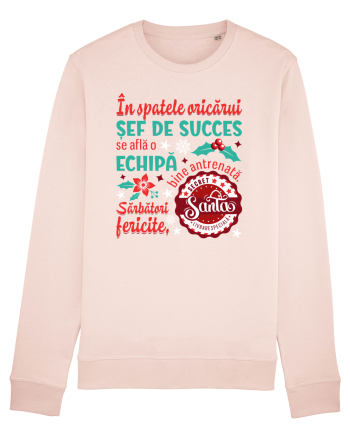 Secret Santa - sef / sefa Candy Pink