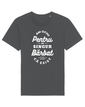 Am ochi pentru un singur bărbat Anthracite