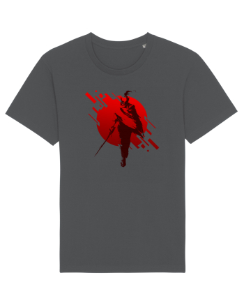 Shadow warrior Anthracite