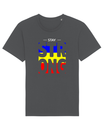 Stay strong romane Anthracite