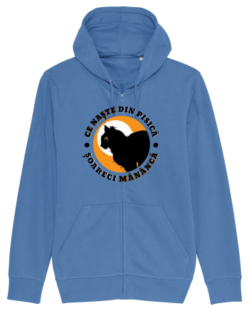 Ce naste din pisica Bright Blue