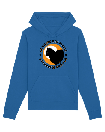 Ce naste din pisica Royal Blue