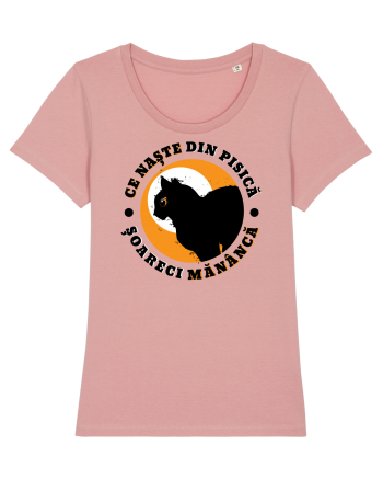 Ce naste din pisica Canyon Pink