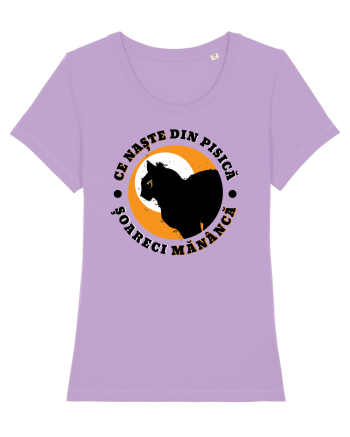 Ce naste din pisica Lavender Dawn