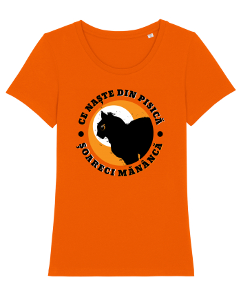 Ce naste din pisica Bright Orange