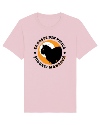 Ce naste din pisica Cotton Pink
