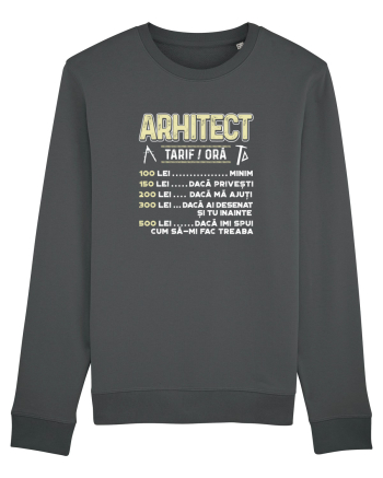 ARHITECT - tarif pe ora Anthracite