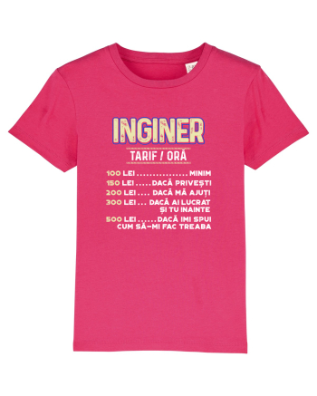 Inginer Raspberry