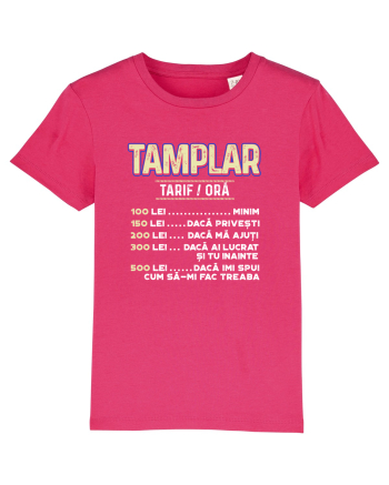 Tamplar Raspberry