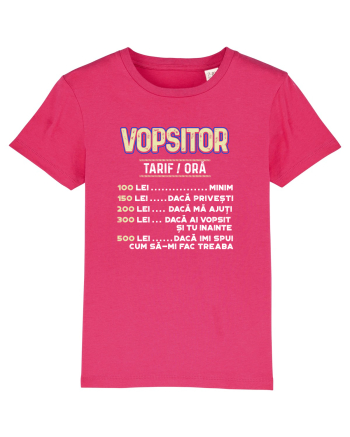 Vopsitor Raspberry